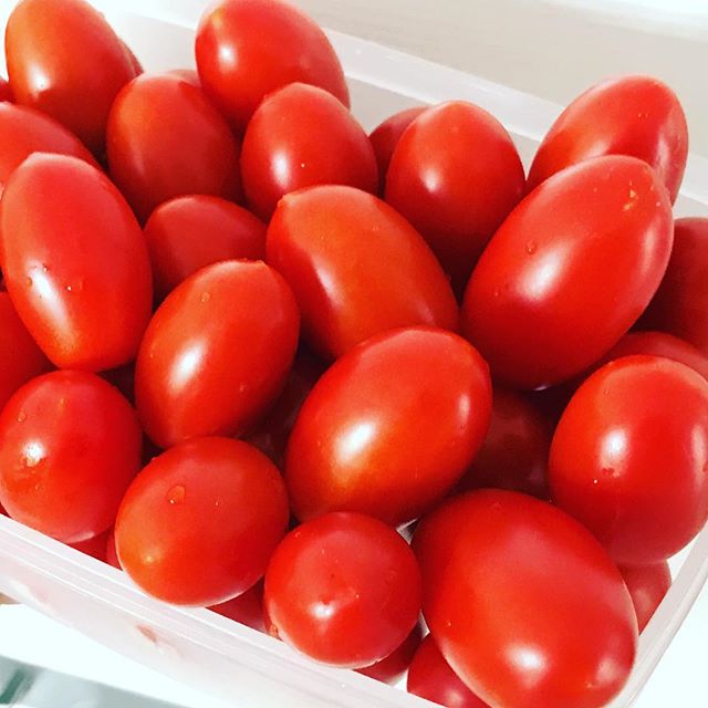 宝石のような完熟トマト。 冷蔵庫で冷やして、喉の潤いにいつでも食べられる幸せ。