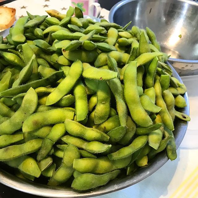 枝豆の美味しい季節。大量収穫&茹でて冷凍保存。今年は猛暑で先行きが不安なので、大豆は諦めてぜんぶ枝豆でいただくことにしました。